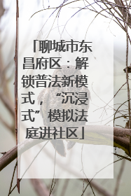聊城市东昌府区：解锁普法新模式，“沉浸式”模拟法庭进社区