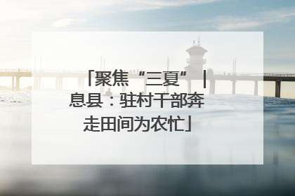 聚焦“三夏”｜息县：驻村干部奔走田间为农忙