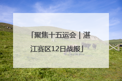 聚焦十五运会｜湛江赛区12日战报