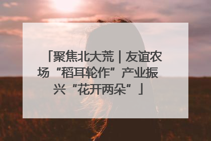 聚焦北大荒｜友谊农场“稻耳轮作”产业振兴“花开两朵”
