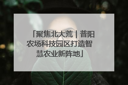聚焦北大荒｜普阳农场科技园区打造智慧农业新阵地