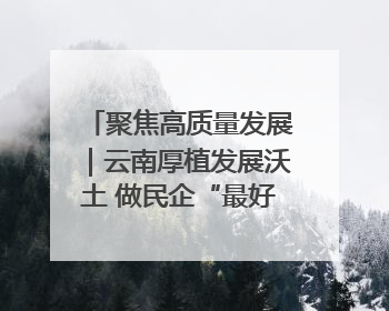 聚焦高质量发展｜云南厚植发展沃土 做民企“最好合伙人”