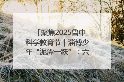 聚焦2025鲁中科学教育节｜淄博少年“泥潭一跃”：六一节里的勇气勋章