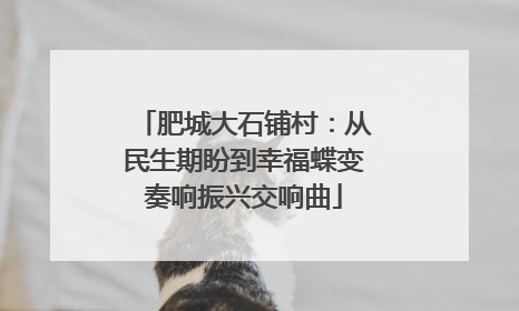 肥城大石铺村：从民生期盼到幸福蝶变奏响振兴交响曲