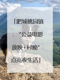 肥城桃园镇：“公益电影放映+村晚”点亮夜生活
