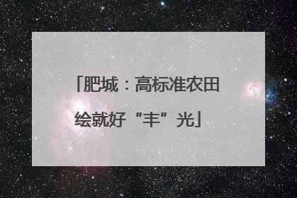 肥城：高标准农田绘就好“丰”光