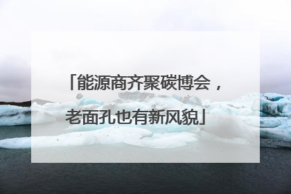 能源商齐聚碳博会，老面孔也有新风貌