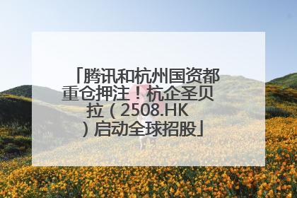 腾讯和杭州国资都重仓押注！杭企圣贝拉（2508.HK）启动全球招股