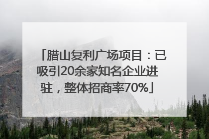 腊山复利广场项目：已吸引20余家知名企业进驻，整体招商率70%