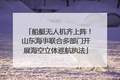 船艇无人机齐上阵！山东海事联合多部门开展海空立体巡航执法