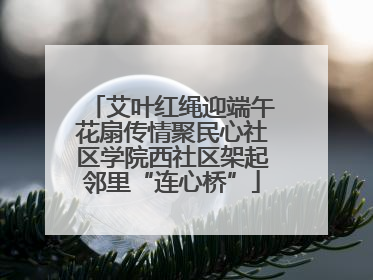 艾叶红绳迎端午花扇传情聚民心社区学院西社区架起邻里“连心桥”