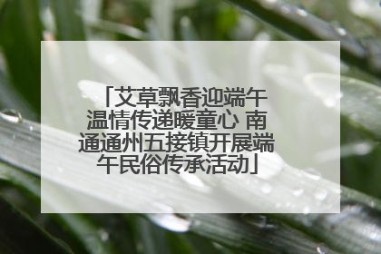 艾草飘香迎端午 温情传递暖童心 南通通州五接镇开展端午民俗传承活动