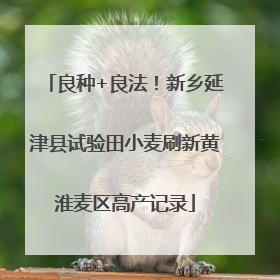 良种+良法！新乡延津县试验田小麦刷新黄淮麦区高产记录