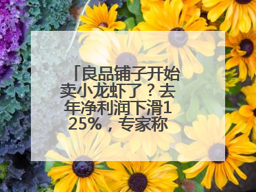 良品铺子开始卖小龙虾了？去年净利润下滑125%，专家称转型极为关键