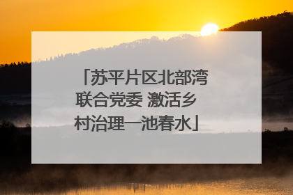 苏平片区北部湾联合党委 激活乡村治理一池春水