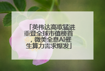 英伟达高歌猛进重登全球市值榜首，微美全息AI催生算力需求爆发