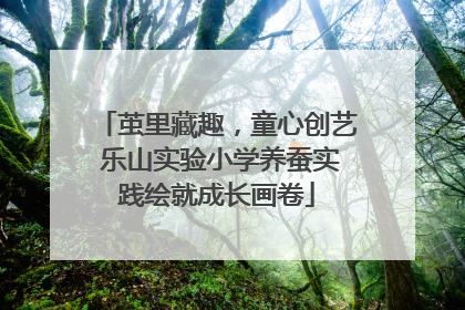 茧里藏趣，童心创艺 乐山实验小学养蚕实践绘就成长画卷