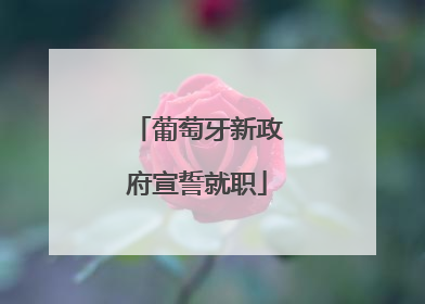 葡萄牙新政府宣誓就职