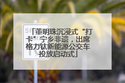 董明珠沉浸式“打卡”宁乡非遗,出席格力钛新能源公交车投放启动式