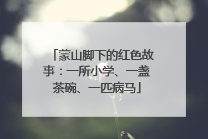 蒙山脚下的红色故事：一所小学、一盏茶碗、一匹病马