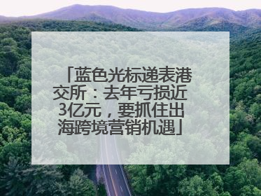 蓝色光标递表港交所：去年亏损近3亿元，要抓住出海跨境营销机遇