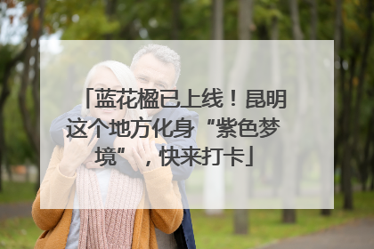 蓝花楹已上线！昆明这个地方化身“紫色梦境”，快来打卡