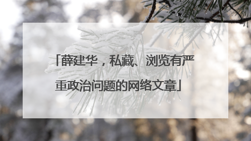 薛建华，私藏、浏览有严重政治问题的网络文章
