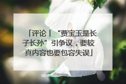评论丨“贾宝玉是长子长孙”引争议，要较真内容也要包容失误