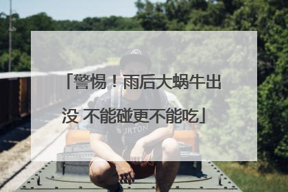警惕！雨后大蜗牛出没 不能碰更不能吃
