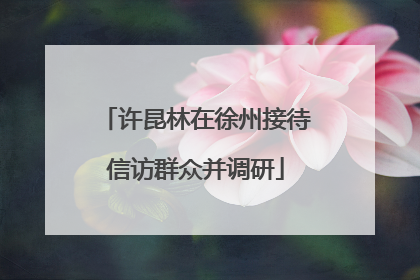 许昆林在徐州接待信访群众并调研