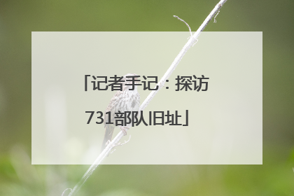 记者手记：探访731部队旧址