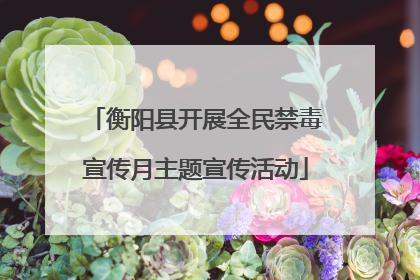衡阳县开展全民禁毒宣传月主题宣传活动