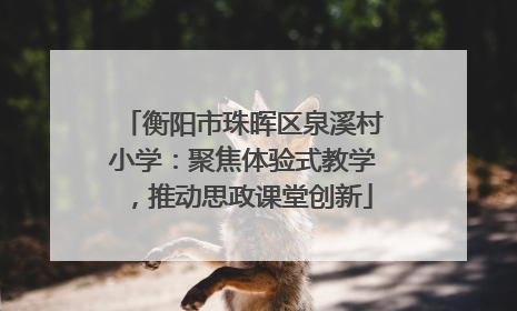 衡阳市珠晖区泉溪村小学：聚焦体验式教学，推动思政课堂创新