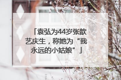 袁弘为44岁张歆艺庆生，称她为“我永远的小姑娘”