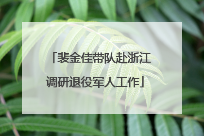 裴金佳带队赴浙江调研退役军人工作