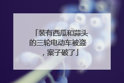 装有西瓜和蒜头的三轮电动车被盗，案子破了