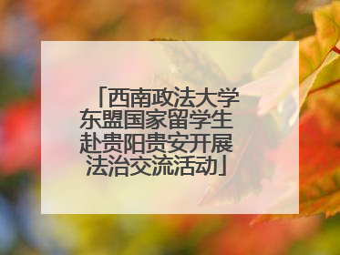 西南政法大学东盟国家留学生赴贵阳贵安开展法治交流活动