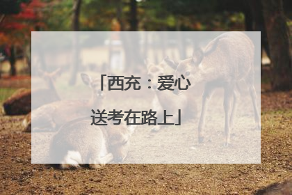 西充：爱心送考在路上