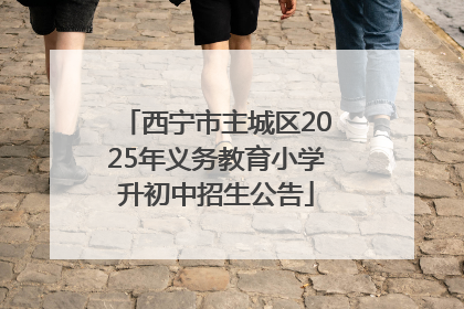 西宁市主城区2025年义务教育小学升初中招生公告