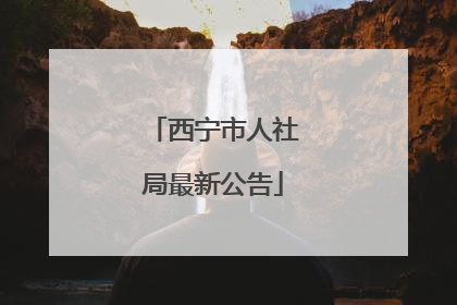 西宁市人社局最新公告