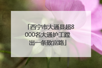 西宁市大通县超8000名大通护工蹚出一条致富路
