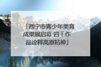西宁市青少年美育成果展启幕 四千作品诠释高原精神