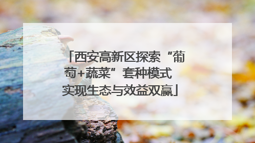 西安高新区探索“葡萄+蔬菜”套种模式 实现生态与效益双赢
