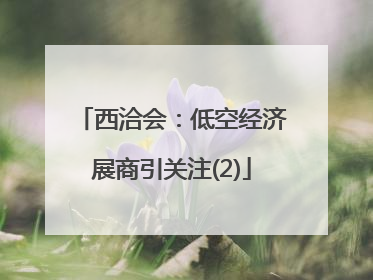 西洽会：低空经济展商引关注(2)