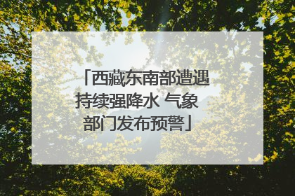 西藏东南部遭遇持续强降水 气象部门发布预警