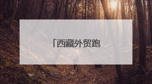 西藏外贸跑出加速度
