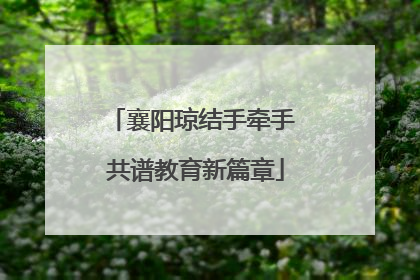 襄阳琼结手牵手 共谱教育新篇章