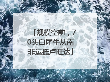 规模空前，70头白犀牛从南非运抵卢旺达