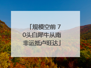 规模空前 70头白犀牛从南非运抵卢旺达