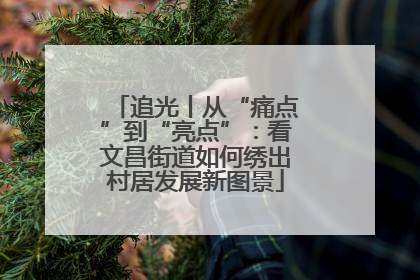 追光丨从“痛点”到“亮点”：看文昌街道如何绣出村居发展新图景